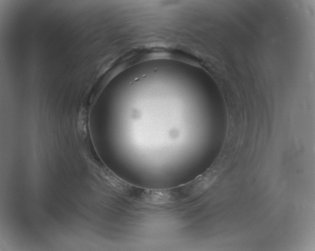 X0000067460768200604071128