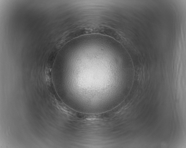 X0000067460770200604071127