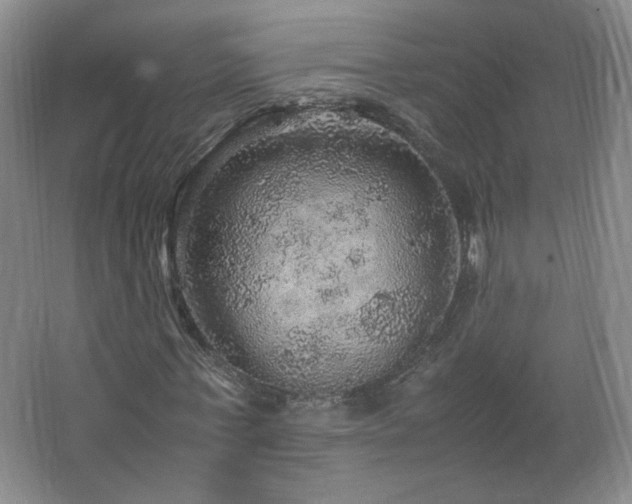 X0000067460771200604071127