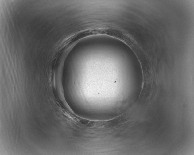 X0000067460773200604071127