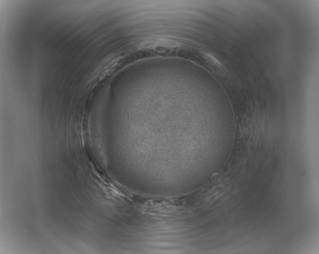 X0000067460774200604071127