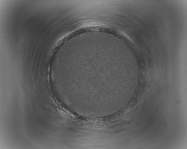 X0000067460775200604071127