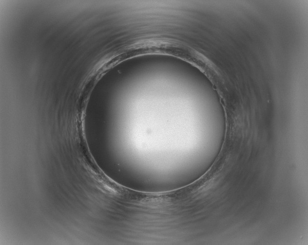 X0000067460778200604071127