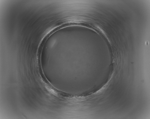 X0000067460779200604071127