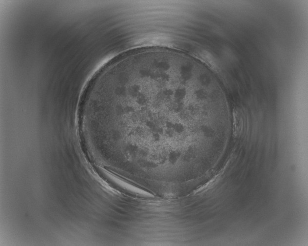 X0000067460780200604071127