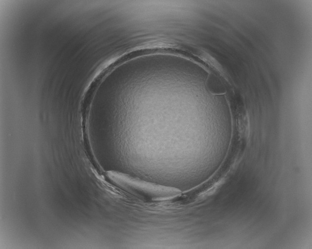 X0000067460781200604071127