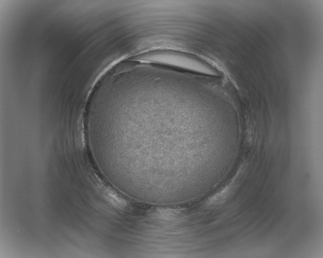 X0000067460782200604071127