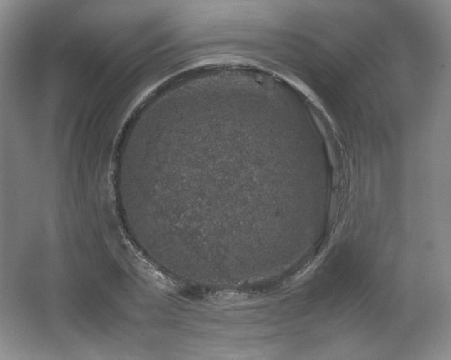 X0000067460783200604071127