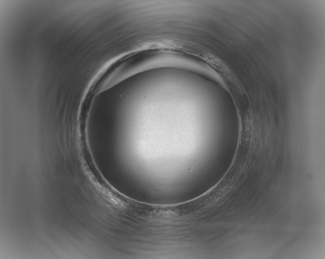 X0000067460784200604071127