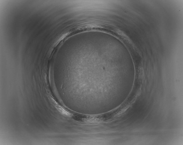 X0000067460785200604071127