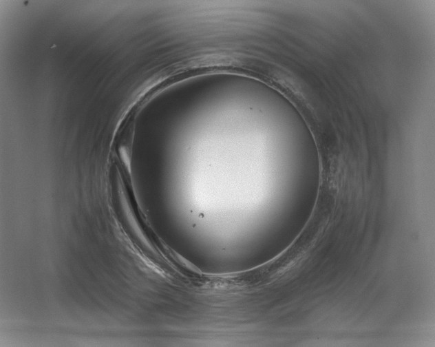 X0000067460786200604071127