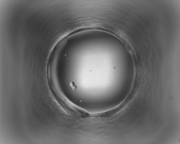 X0000067460789200604071127