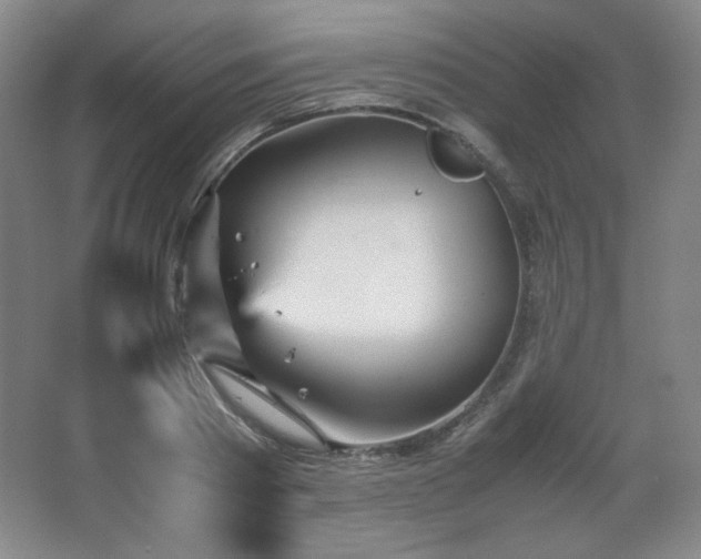 X0000067460793200604071127