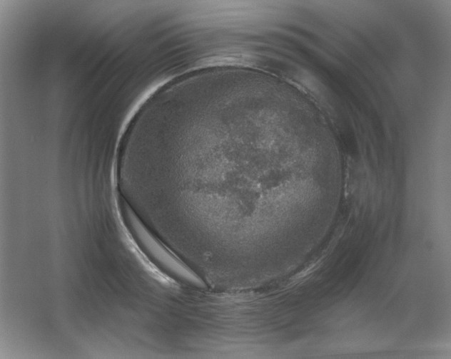 X0000067460796200604071127