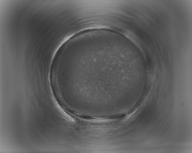 X0000067460797200604071127