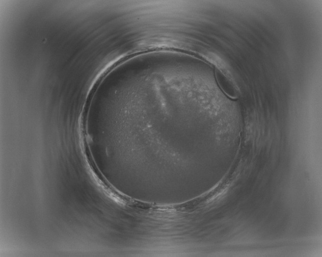 X0000067460798200604071127