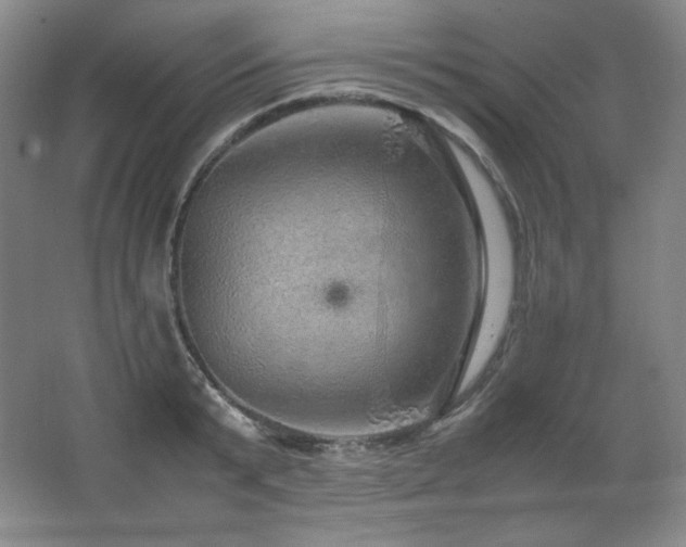 X0000067460799200604071127