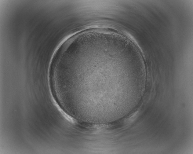 X0000067460803200604071127