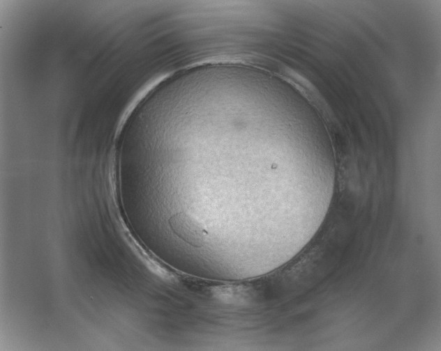 X0000067460804200604071126