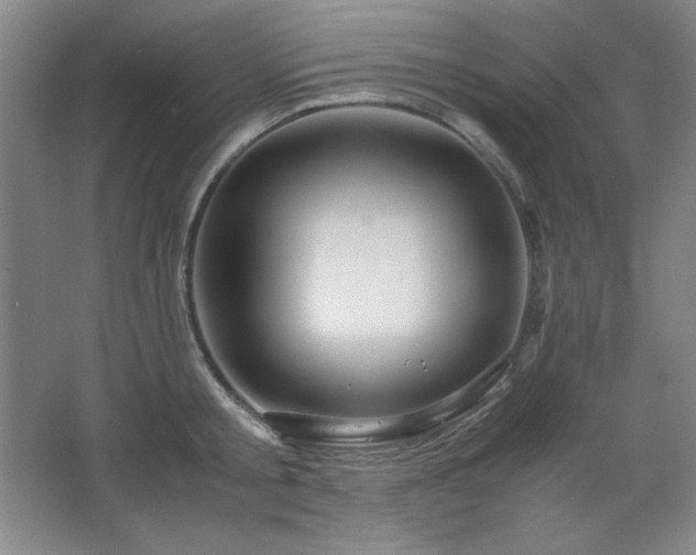 X0000067460805200604071126