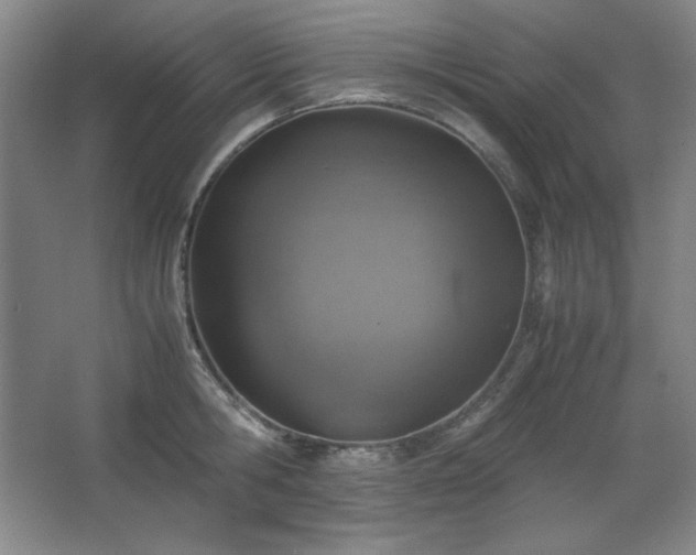 X0000067460806200604071126