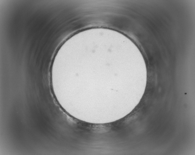 X0000067460807200604071126