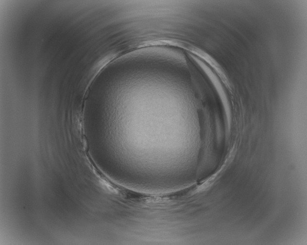 X0000067460809200604071126