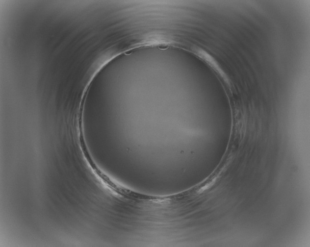 X0000067460810200604071126