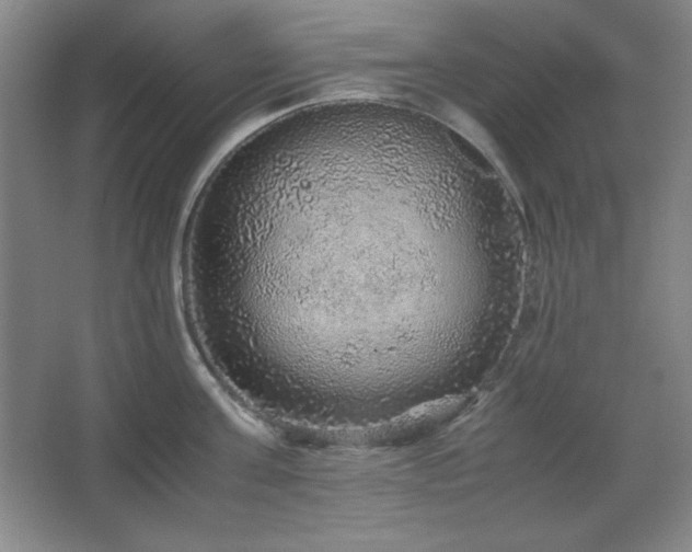 X0000067460811200604071126