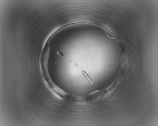 X0000067460812200604071126