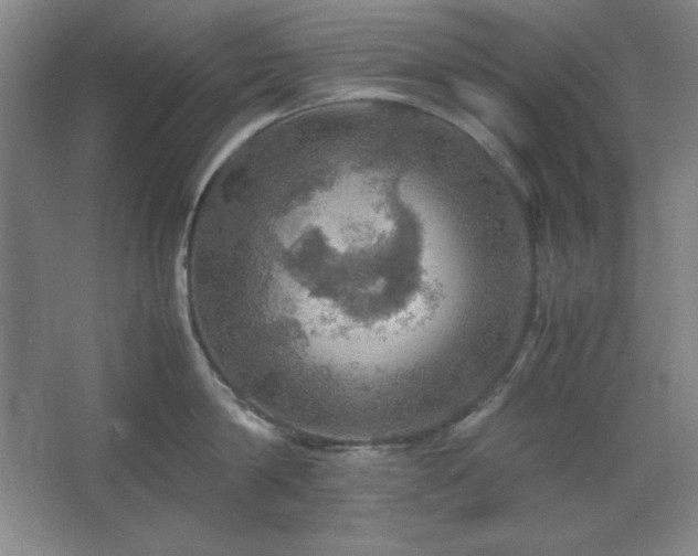 X0000067460814200604071126