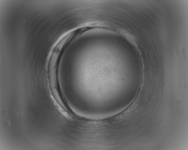 X0000067460816200604071126