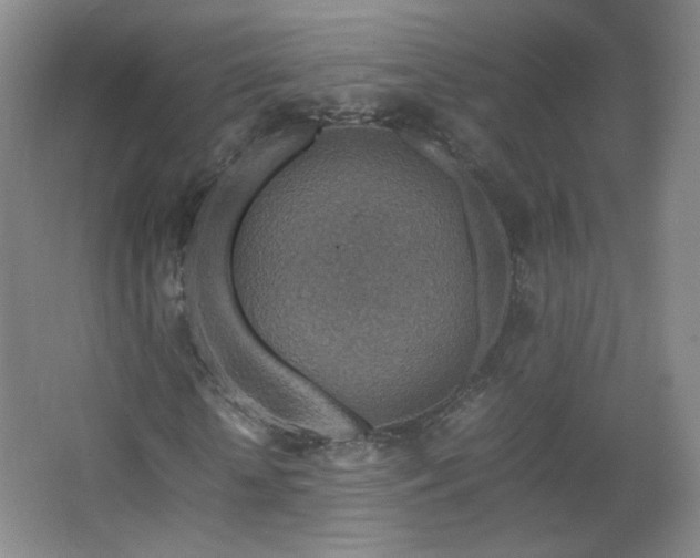 X0000067460818200604071125