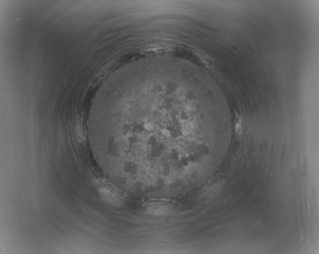 X0000067460819200604071126