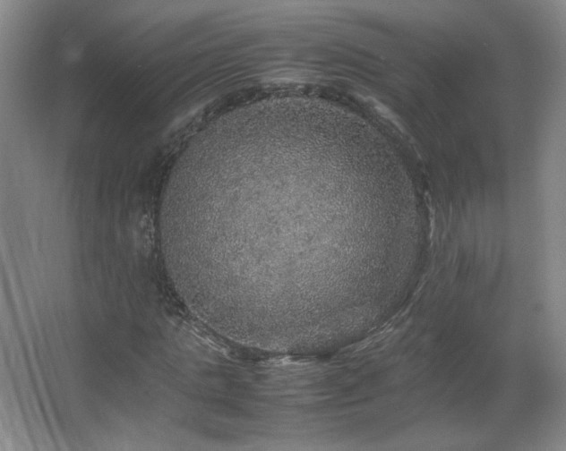 X0000067460821200604071126