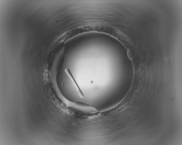 X0000067460822200604071126