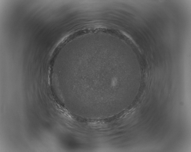 X0000067460823200604071126