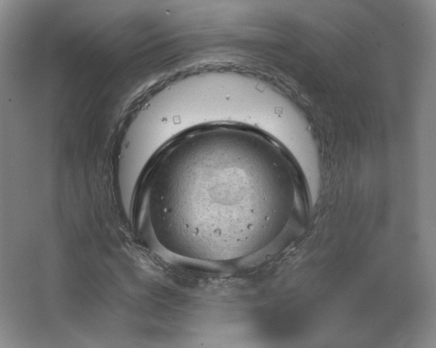 X0000067460824200604071126