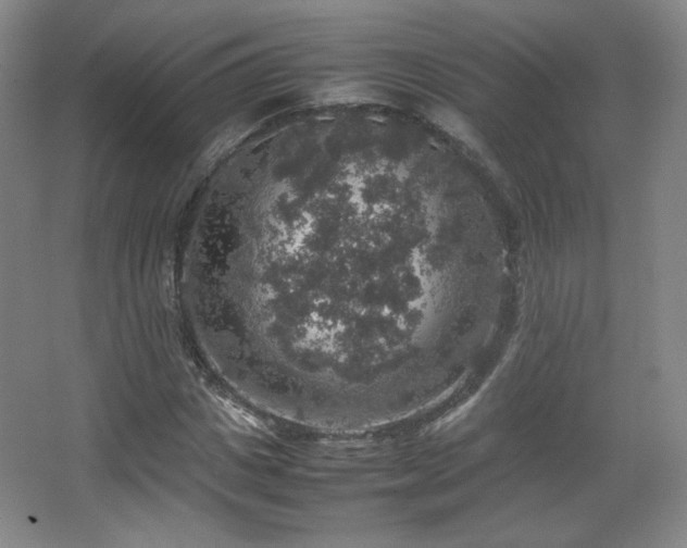 X0000067460825200604071126