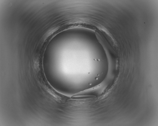 X0000067460826200604071126