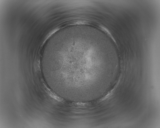 X0000067460827200604071126