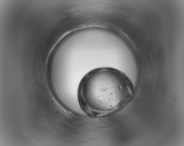 X0000067460828200604071126