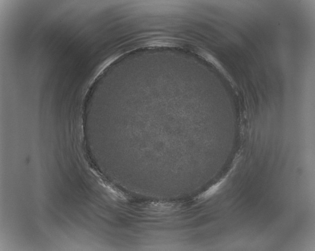 X0000067460829200604071126