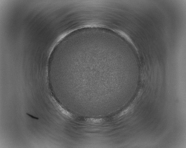 X0000067460831200604071126