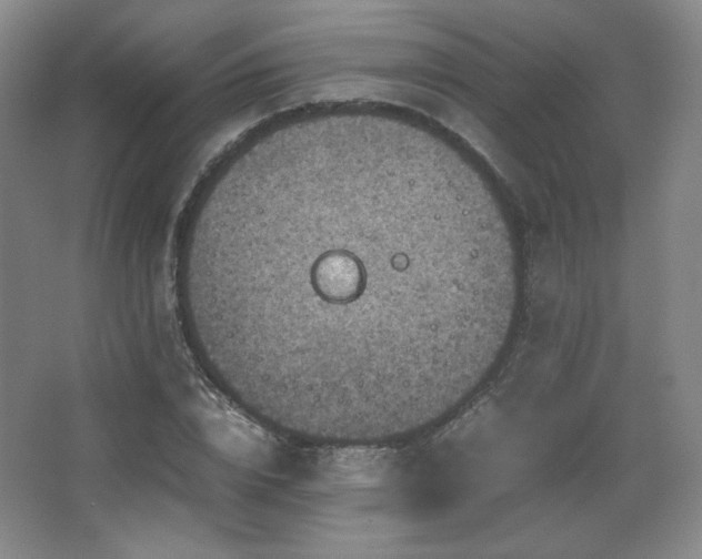 X0000067460832200604071126