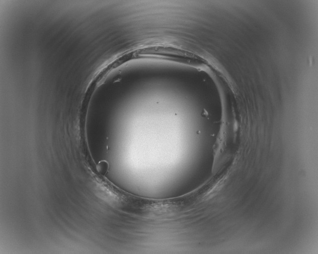 X0000067460834200604071126