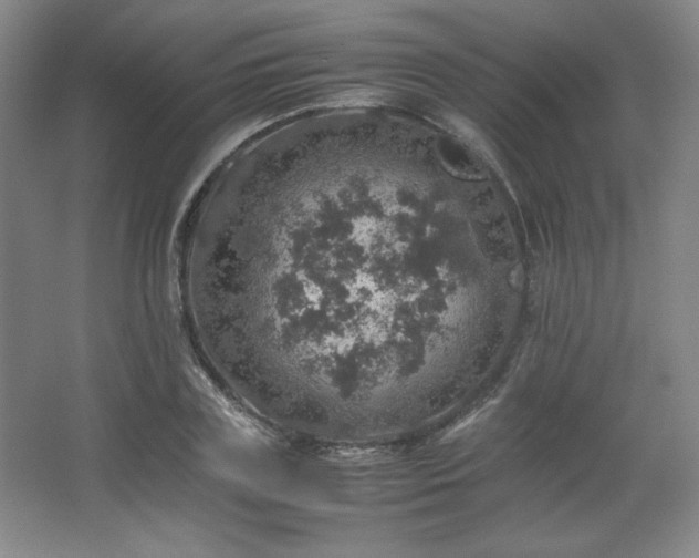 X0000067460835200604071126