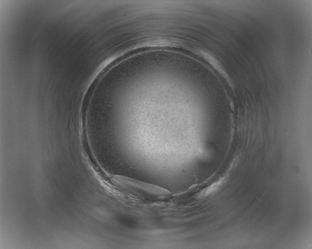 X0000067460837200604071126