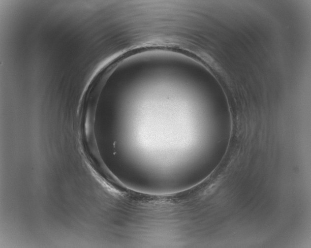 X0000067460838200604071126