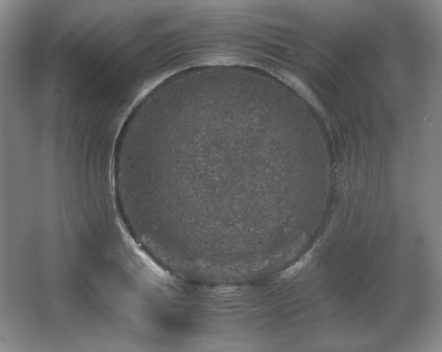 X0000067460839200604071126